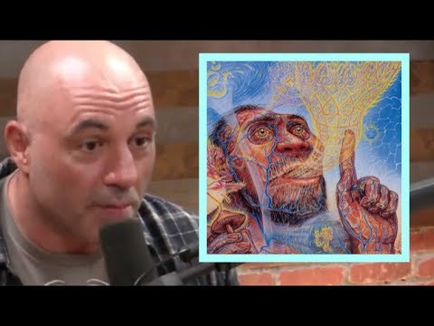 Stoned Ape Theory