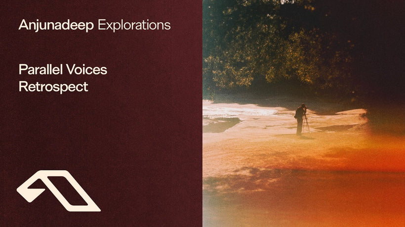 Parallel Voices - Retrospect