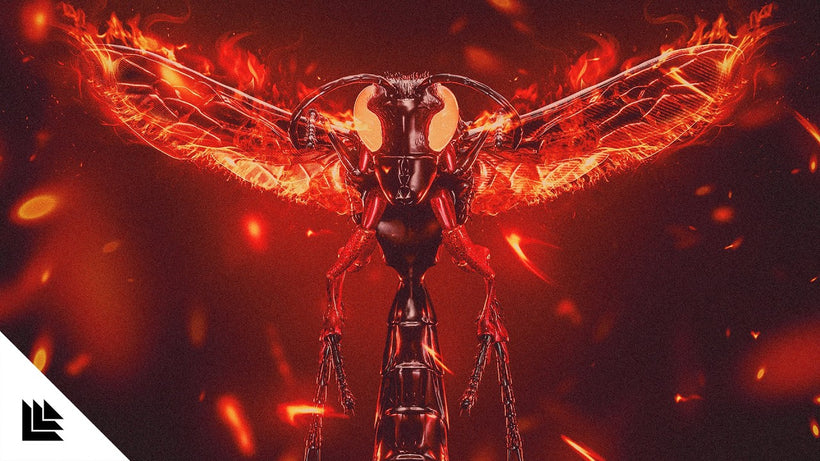 Dirty Signal - Pyro Wasp
