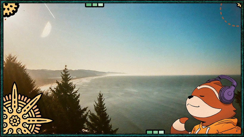 Sweeps & luv pug - Oregon Coast