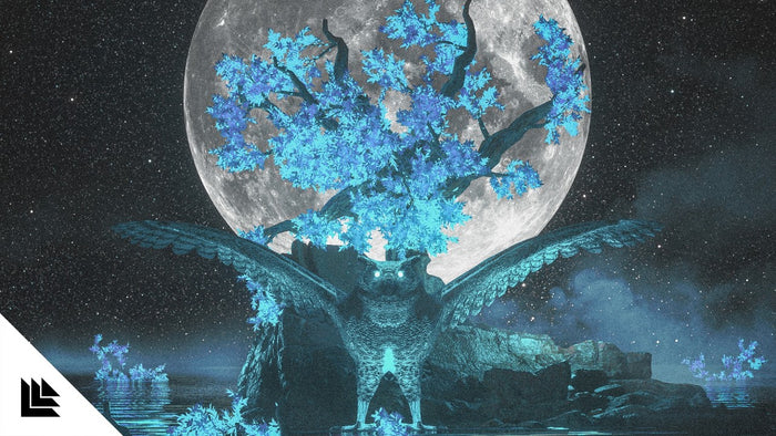 Digital X - The Night