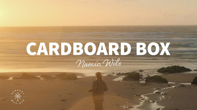 Namic, WILS - Cardboard Box