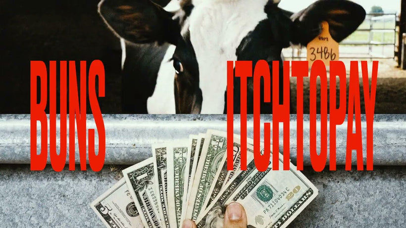 BUNS - ITCHTOPAY