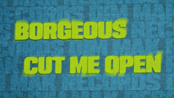 Borgeous - Cut Me Open