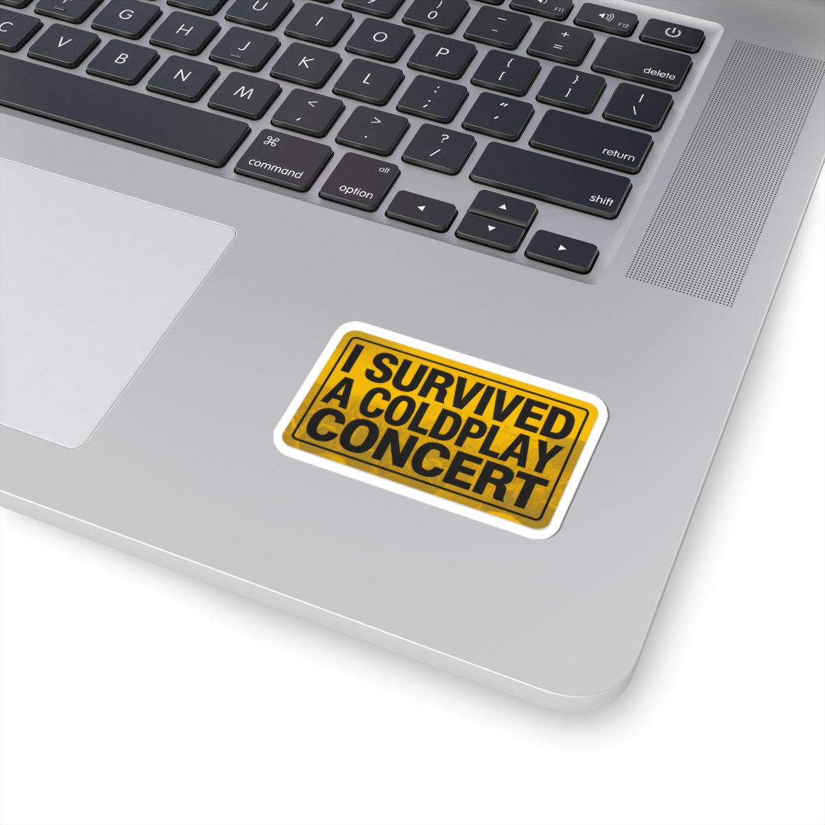 I Survived A Coldplay Concert Sticker