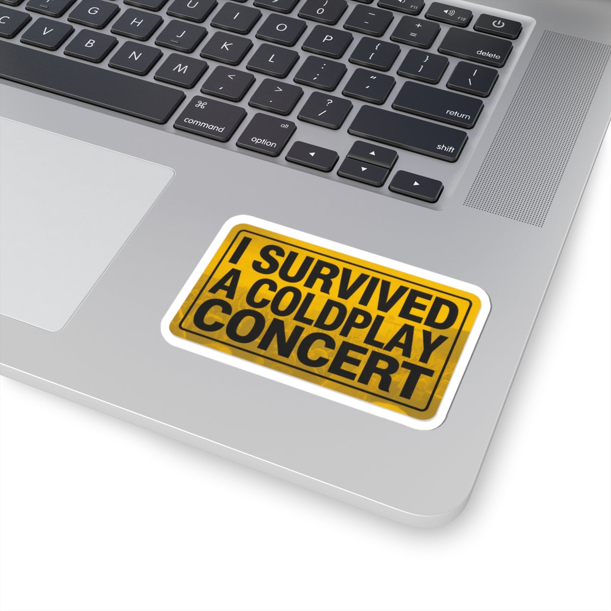 I Survived A Coldplay Concert Sticker