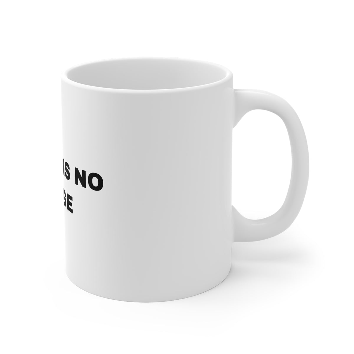 Contains No Bridge Mug
